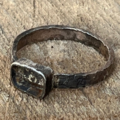 Anillo NIDO