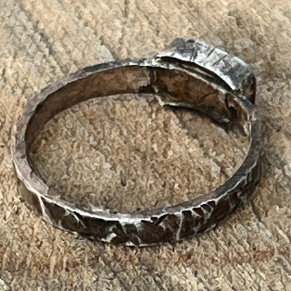 Anillo NIDO